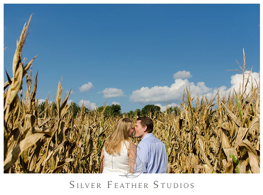 North Carolina engagement photography in the corn fields in Hendersonville, NC. © Silver Feather Studios, North Carolina Wedding Photography & Videography