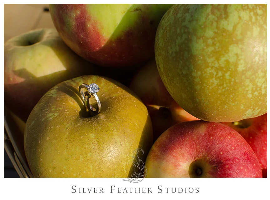 Stunning engagement ring in the apple basket at Granddad's Apple Orchard. © Silver Feather Studios, North Carolina Wedding Photography & Videography