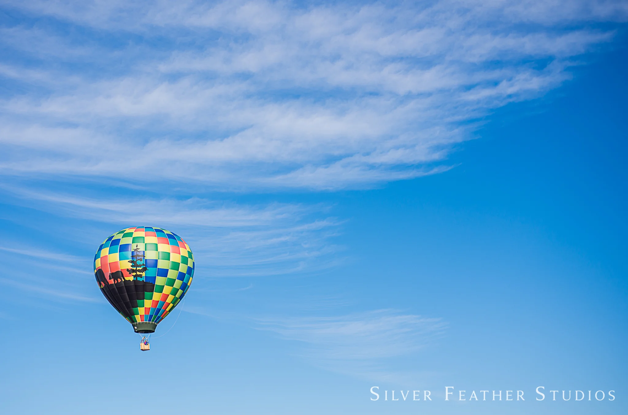 Hot Air Balloon Engagement in Raleigh, NC Sarah + Sean — Lifestyle