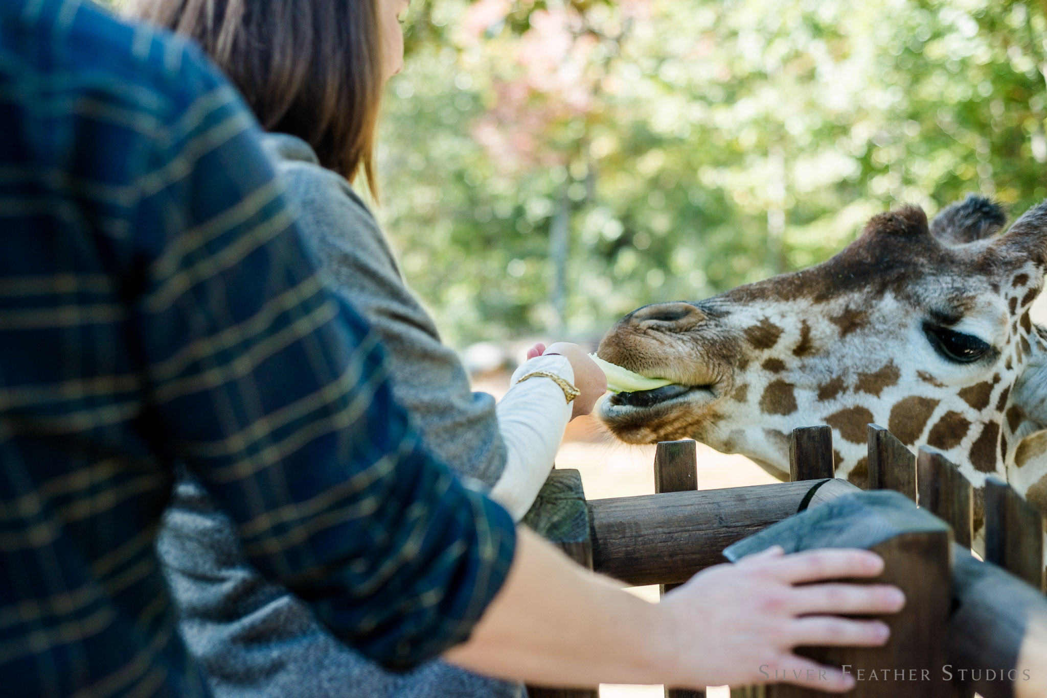 nc-asheboro-zoo-engagement-019.jpg