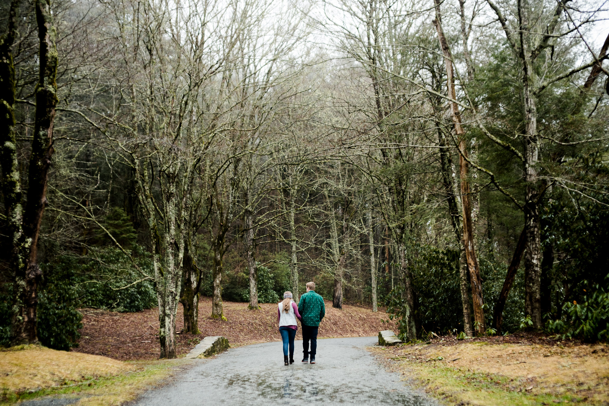 foggy park engagement session in blowing rock, nc
