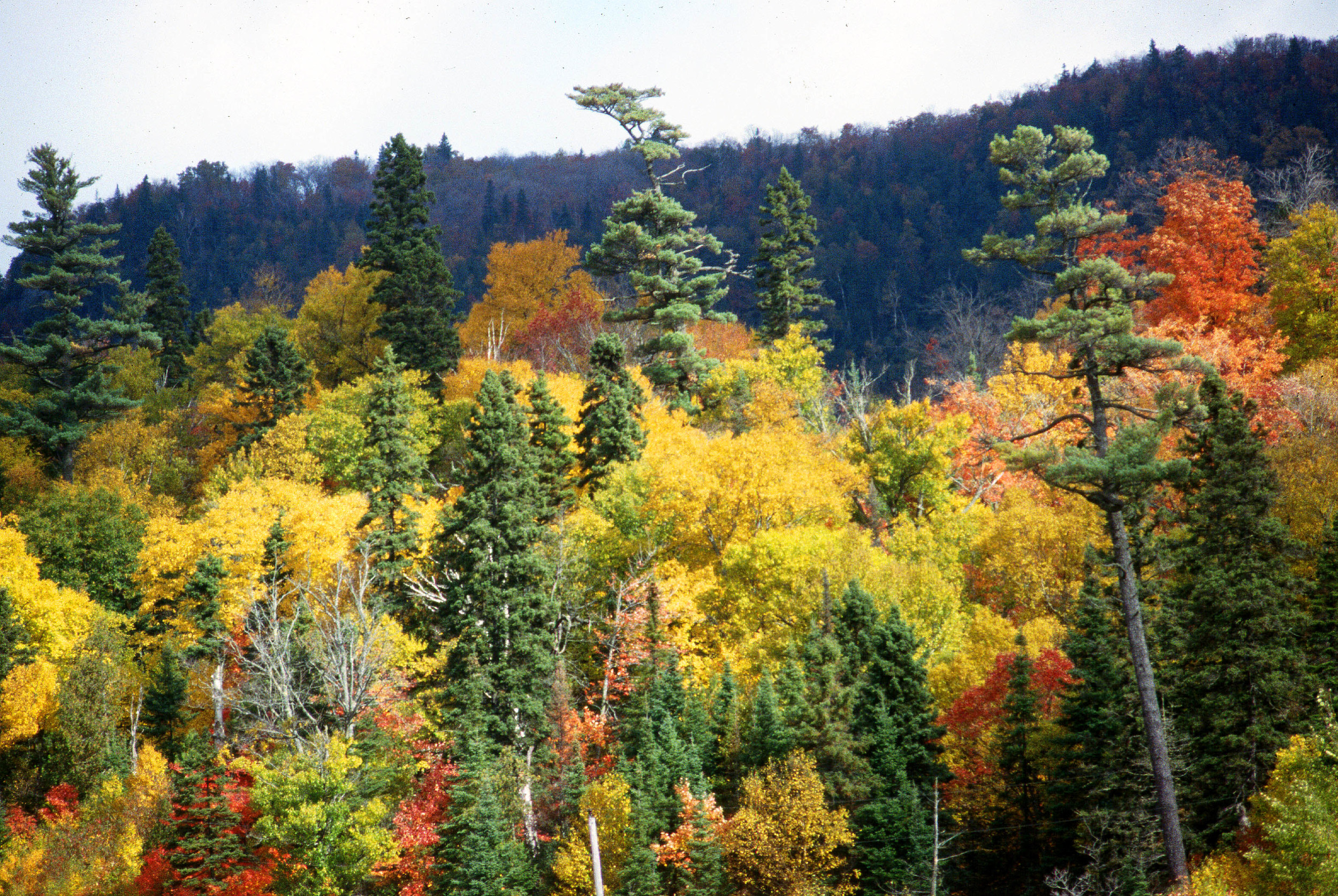 Lake Superior Provincial Park