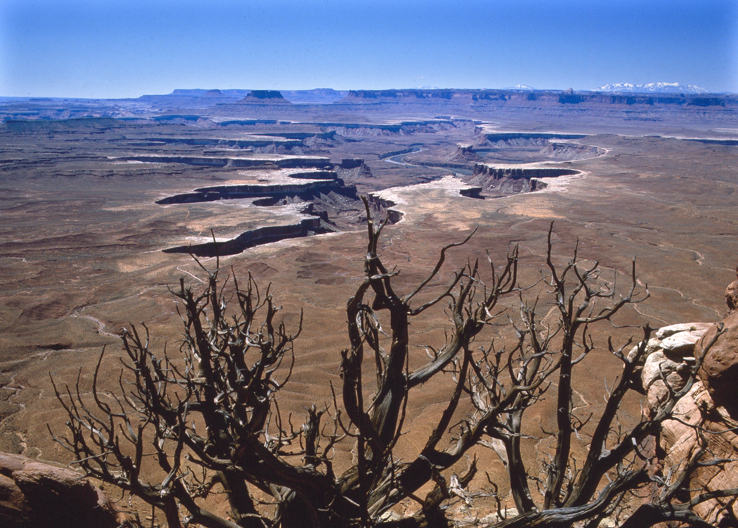 Canyonlands