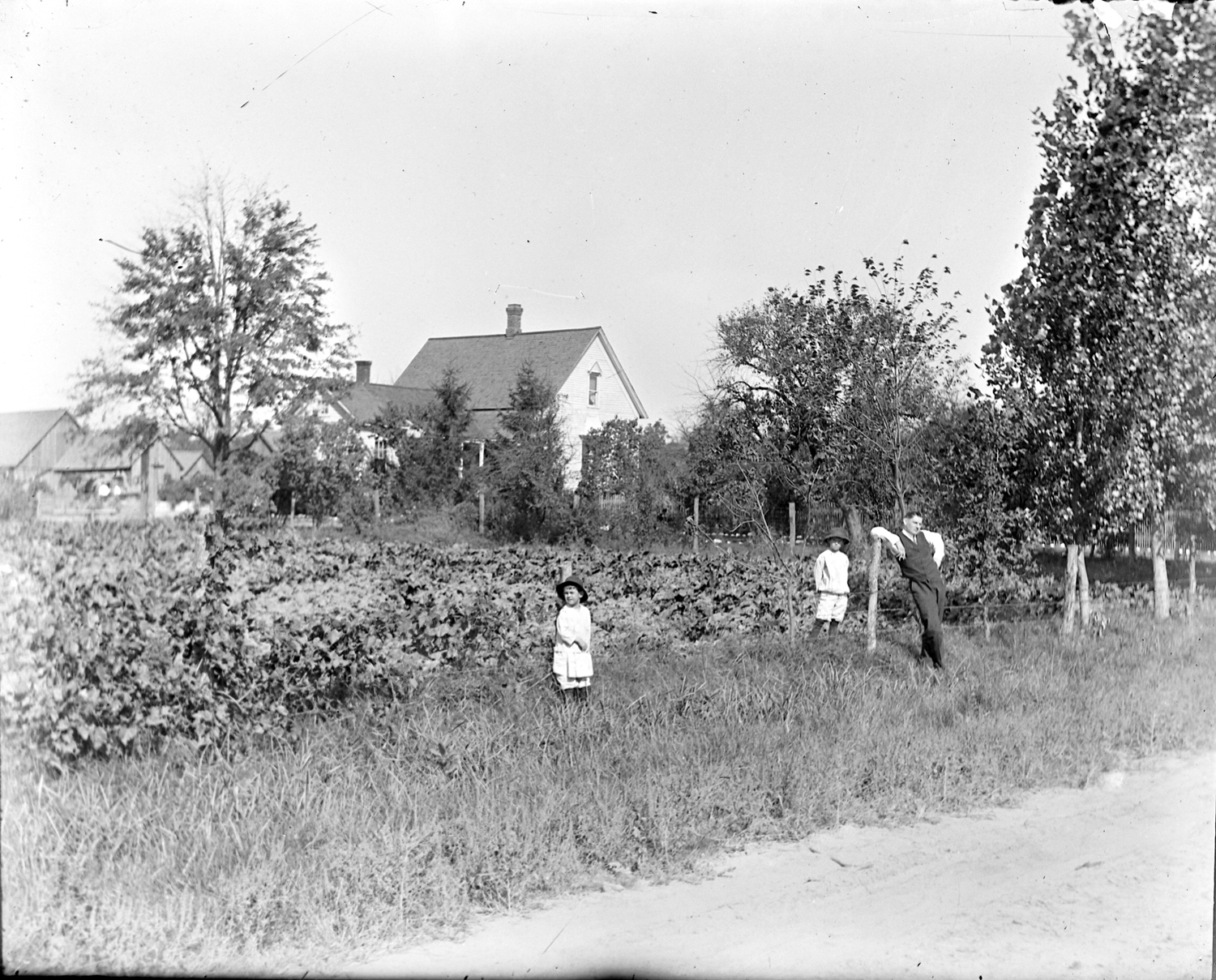 On the Farm