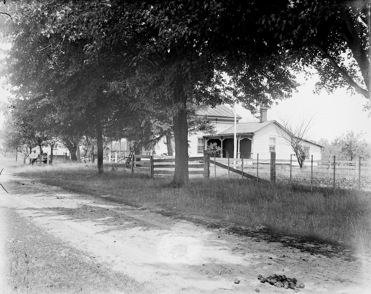 A Shaded Lane