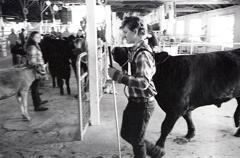 Back into the Barn