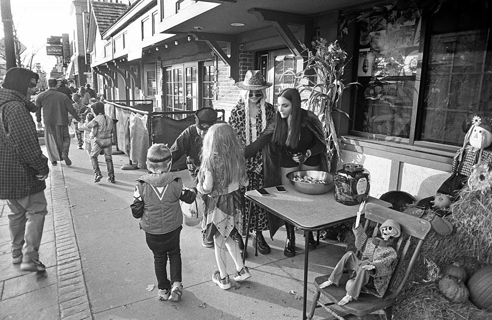 The Harley Quinn Stare