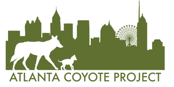 Silver-level sponsor