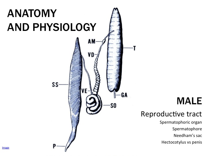 Slide04.jpg