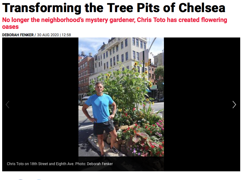 Screen Shot 2020-09-01 at 11.38.15 AM.png