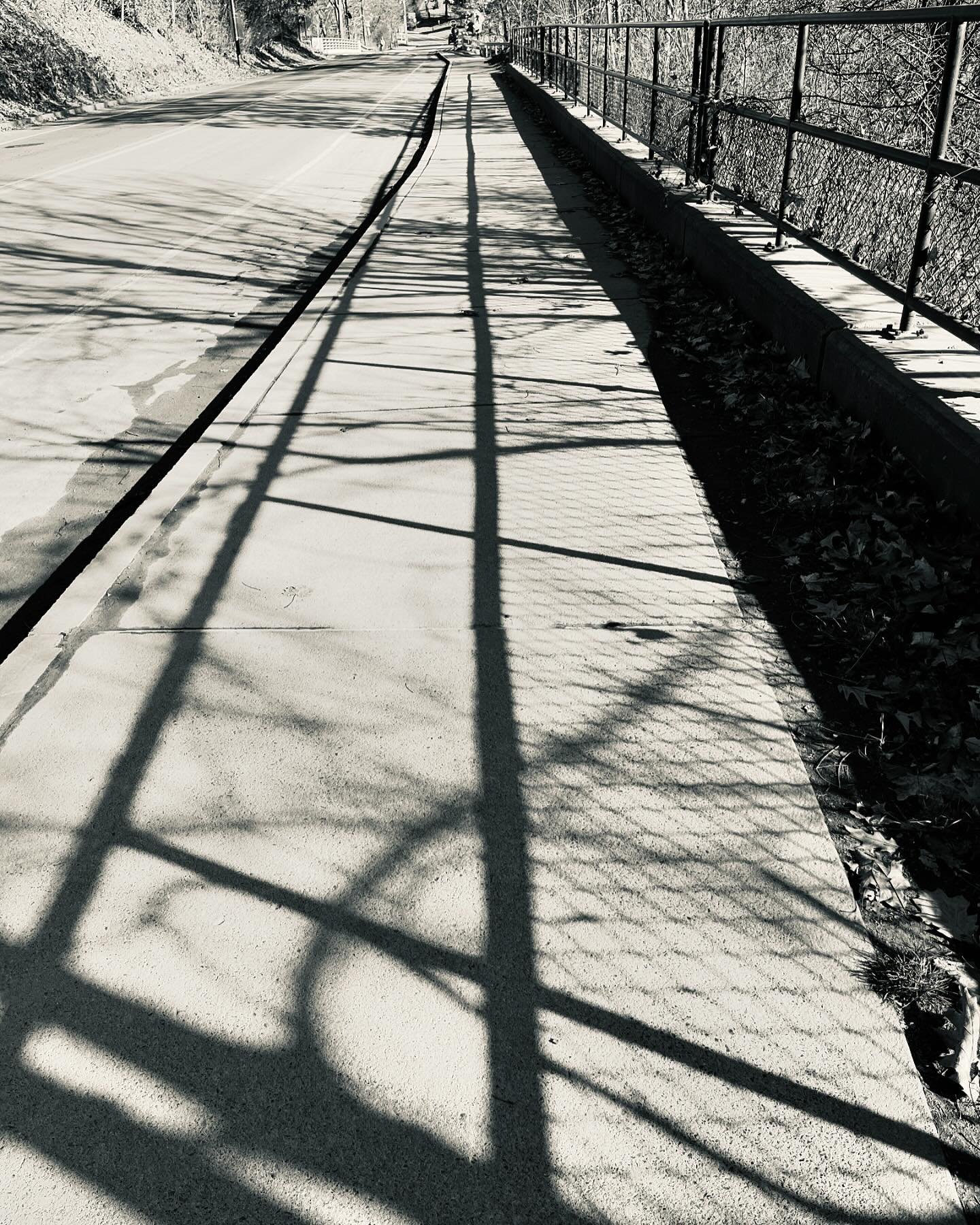 There is walking and slanted light at midday.
Shadows and the rumble of tires on pavement.

There is a brightness of steps
As though the path isn&rsquo;t long
And the days are not short
Music plays in your head.

There are curves and lines
The way th