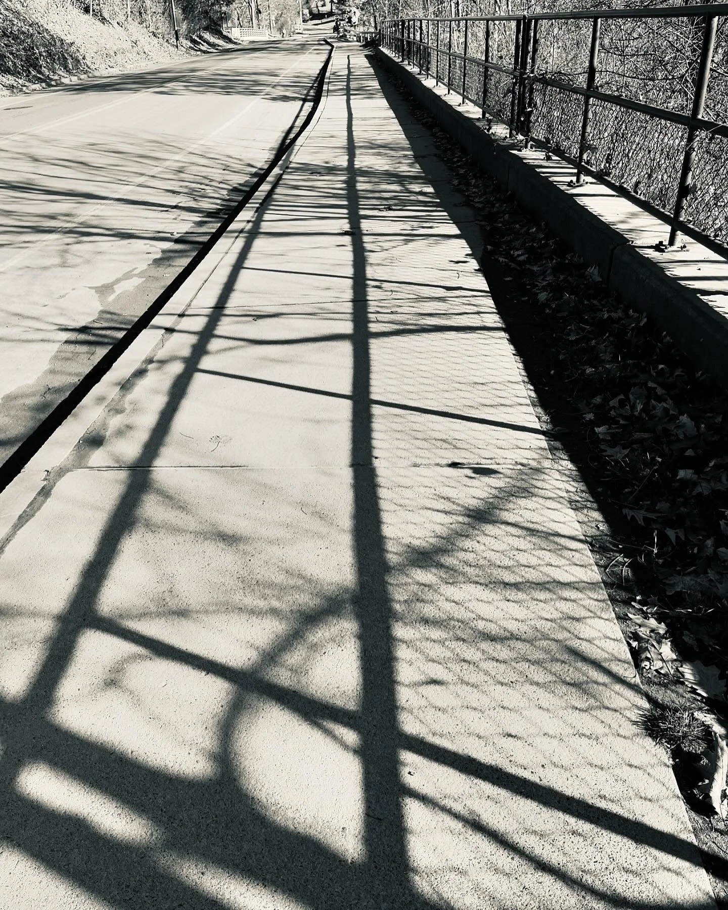There is walking and slanted light at midday.
Shadows and the rumble of tires on pavement.

There is a brightness of steps
As though the path isn&rsquo;t long
And the days are not short
Music plays in your head.

There are curves and lines
The way th