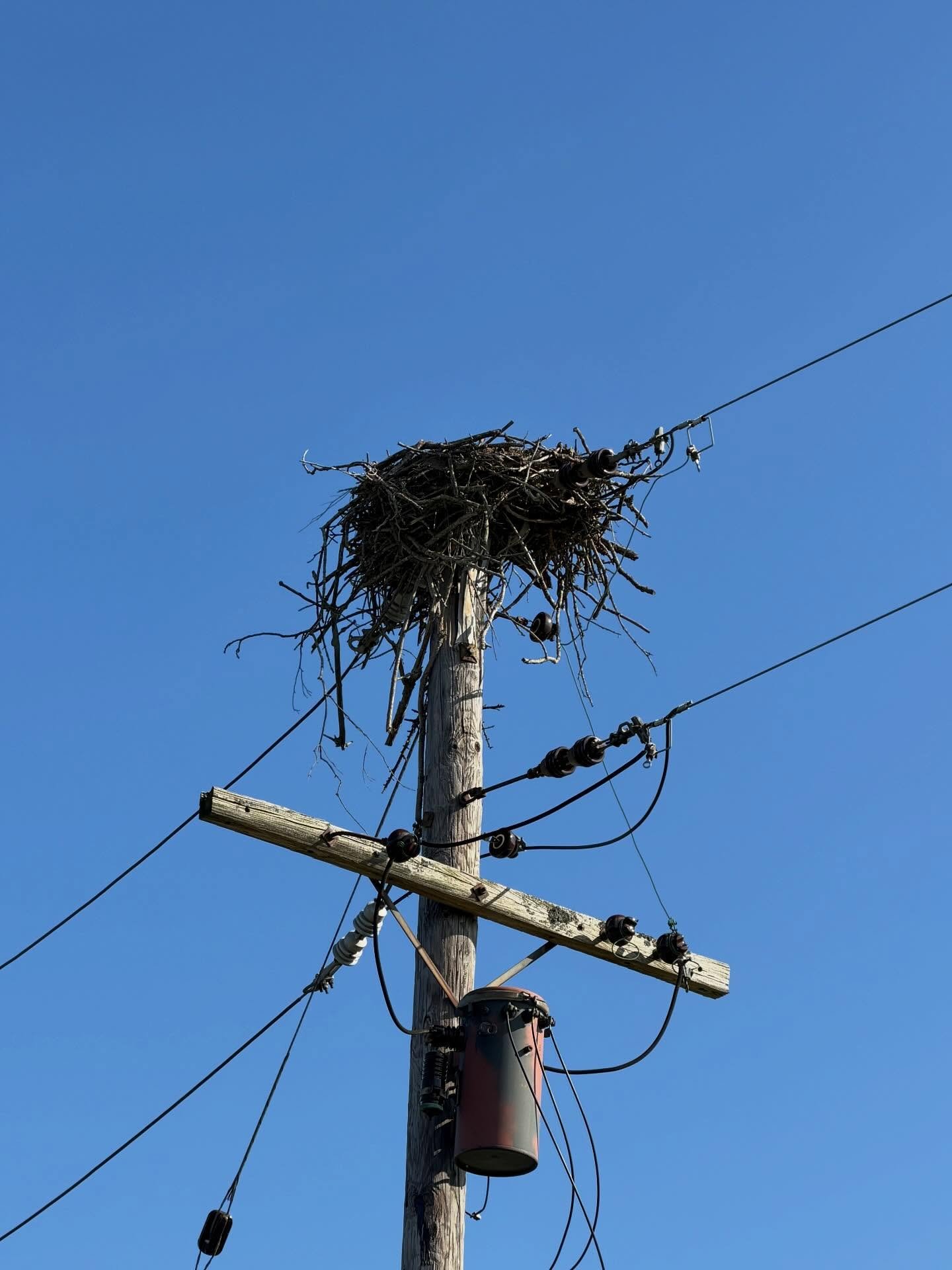 I&rsquo;ve been walking.

I&rsquo;ve always been walking, but the walks have shifted back to how I walked before family, before I met my husband, back to when I learned a place by walking.

Then I didn&rsquo;t have a car, so I would take a bus out so
