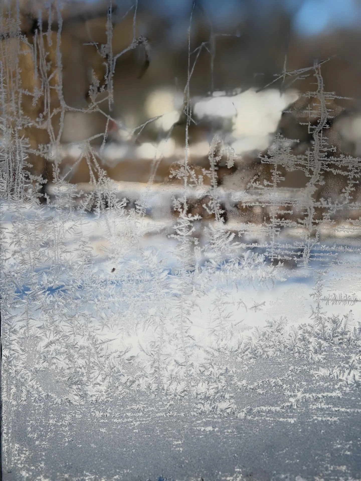 Ice has been my jam lately. I suppose that&rsquo;s a good thing since it&rsquo;s been a beastly cold winter.  And gray.  Endless days of gloom.

So I&rsquo;ve been taking pictures of ice because the structures and formations are endlessly beautiful a