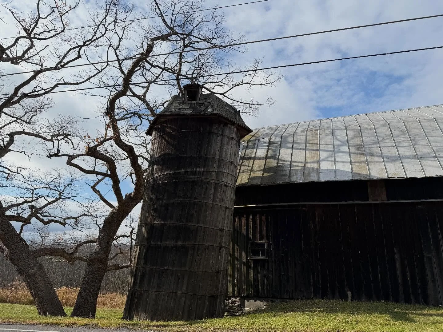 The Teen calls our lifestyle slow living.  We get dropped off and walk home on a road familiar except at this speed.

I note how a tree has been allowed by the aggressive highway department pruners to grow around the wires, how a perfect swimming pon