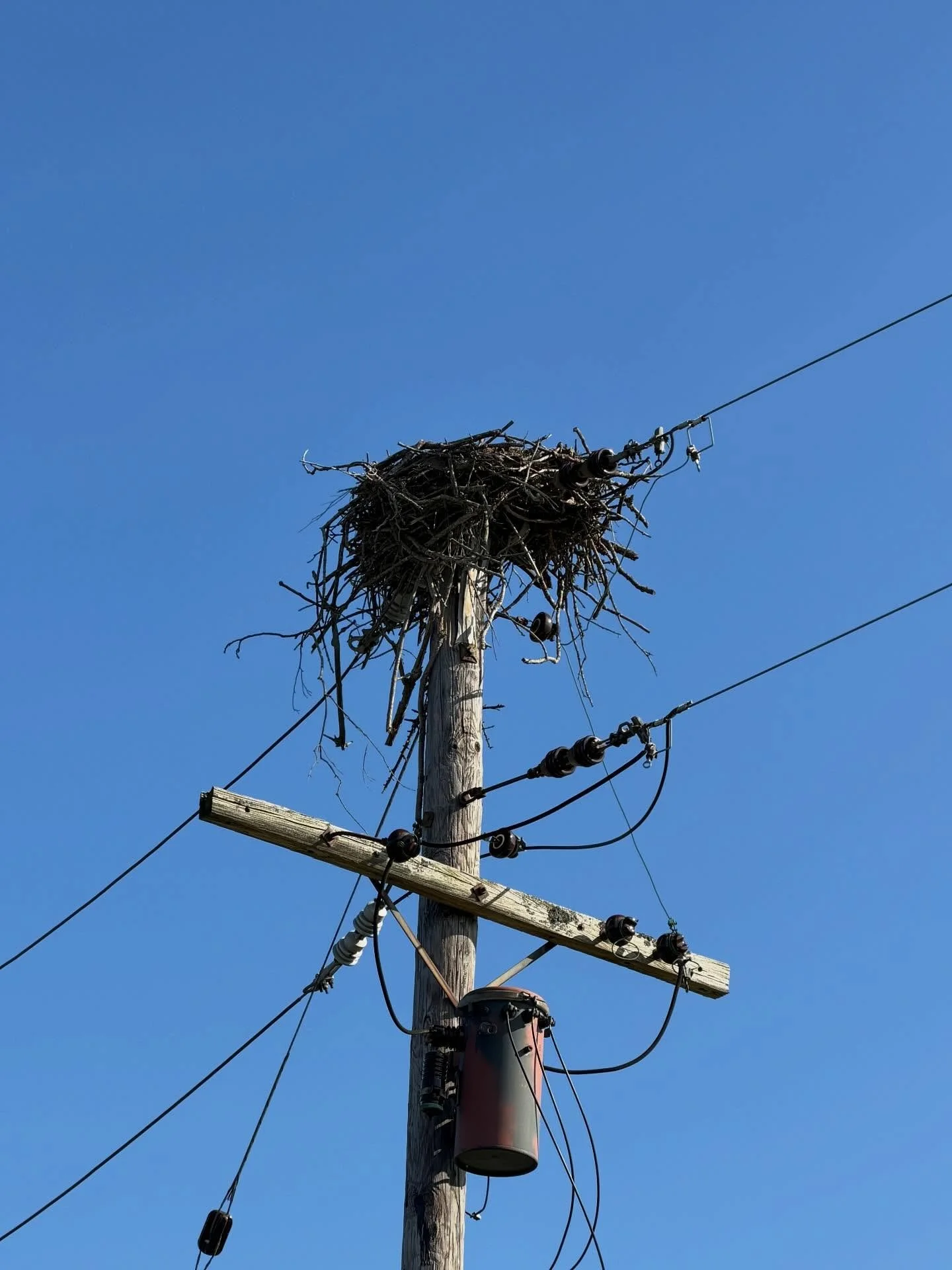 I&rsquo;ve been walking.

I&rsquo;ve always been walking, but the walks have shifted back to how I walked before family, before I met my husband, back to when I learned a place by walking.

Then I didn&rsquo;t have a car, so I would take a bus out so