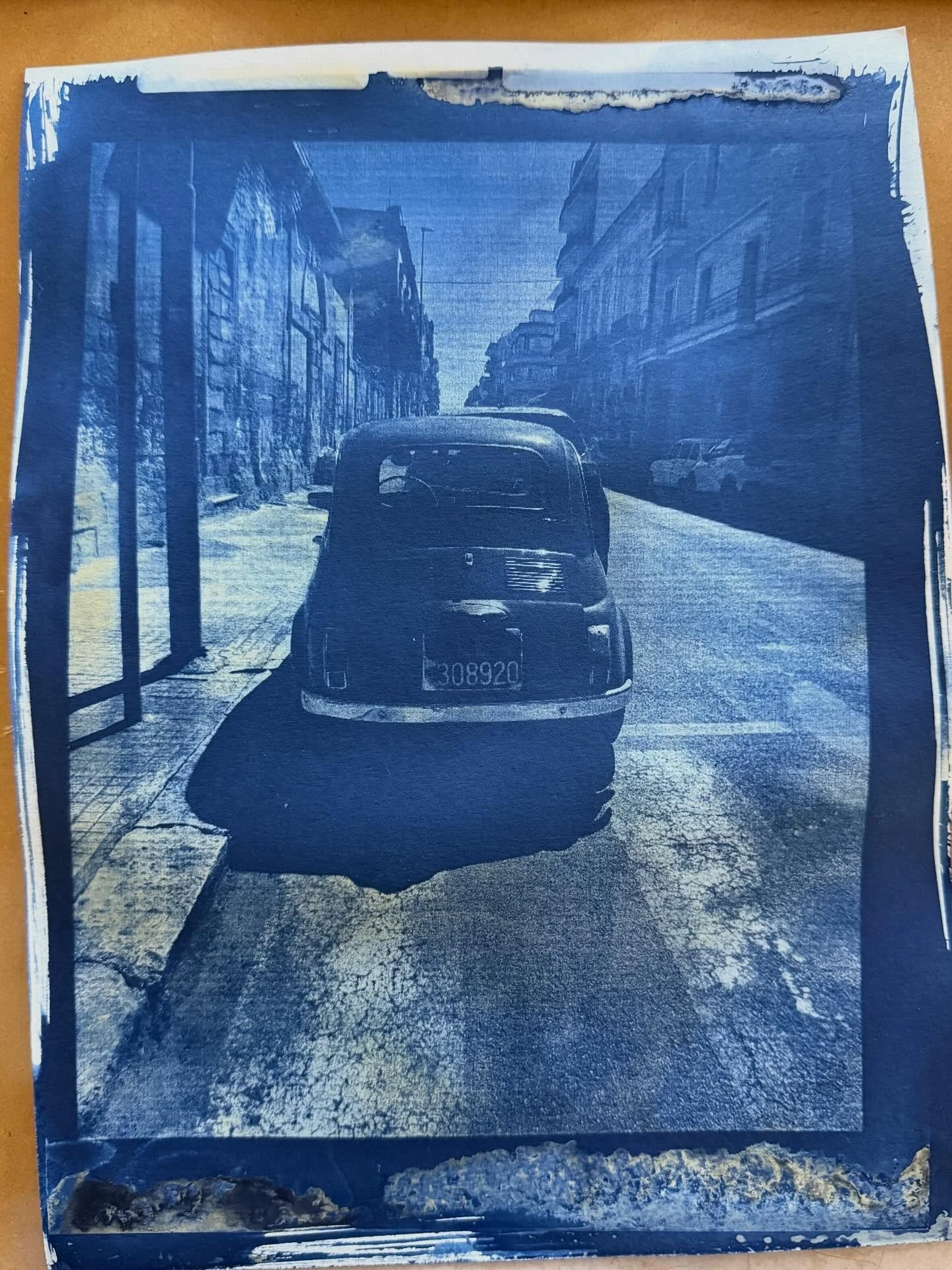 Cyanotype.  All blue all the time.

Italy.  Badlands.  Ithaca.