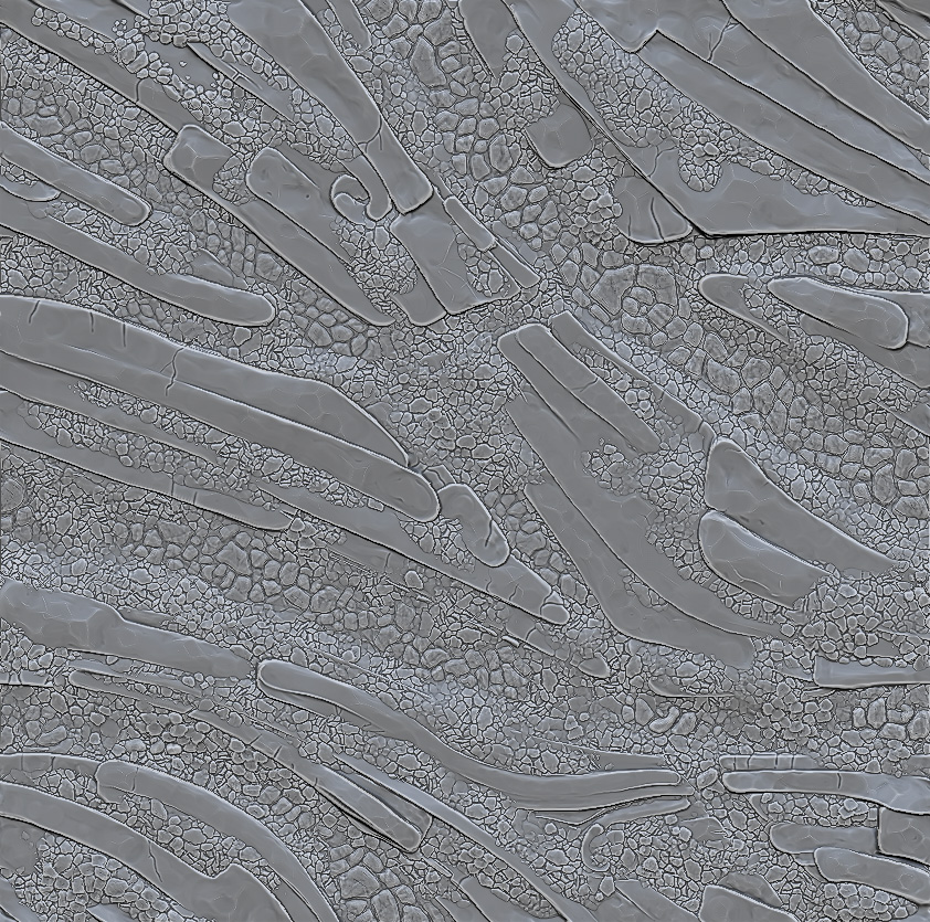  Zbrush sculpt for a tiling stone/scree material, one of a set of three that mapped to different altitudes. Textures were assembled as grayscale images with a mask to allow players to control color and value in the game engine.&nbsp; 