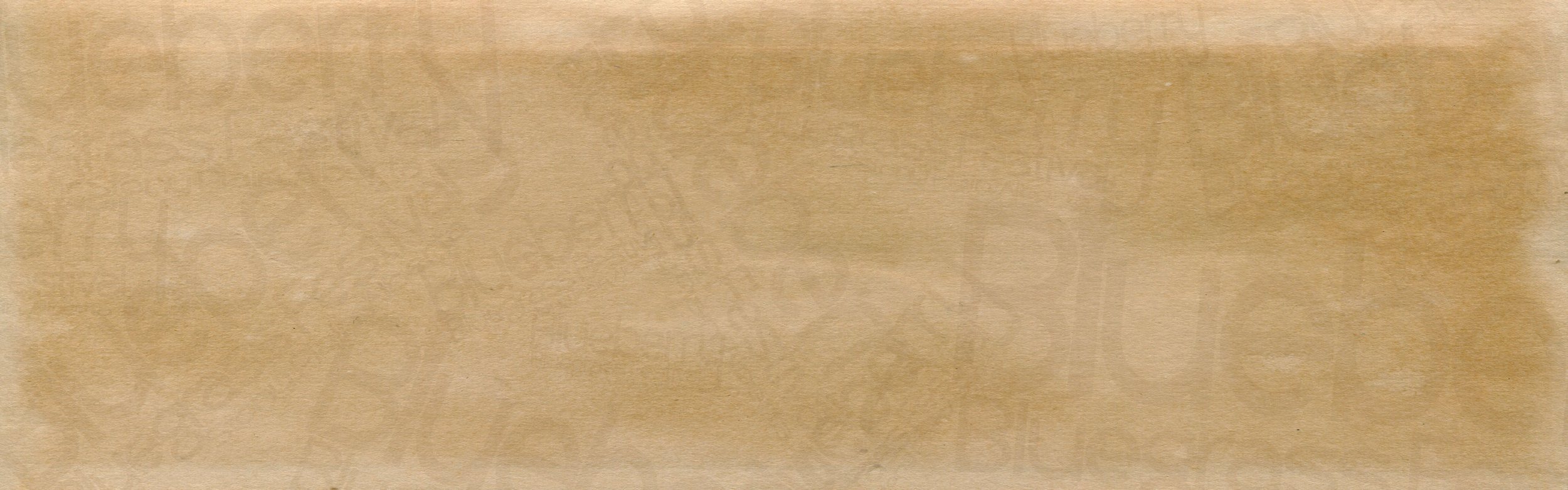Family Fun Zone Background Colour.jpg