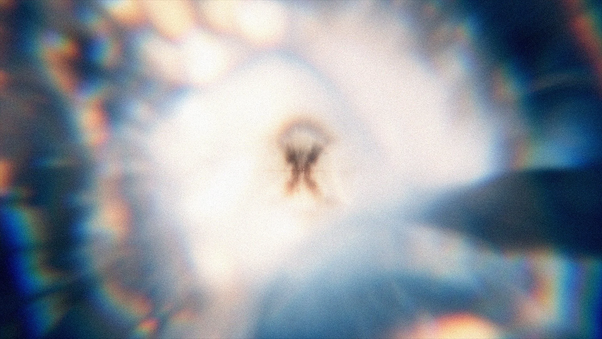 YTLM_sh010_MicroScpDNA_Assem_v02c_BH_HD_web (00000).jpg