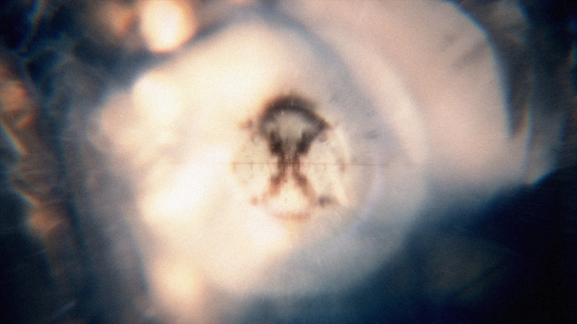 YTLM_sh010_MicroScpDNA_Assem_v02c_BH_HD_web (00007).jpg