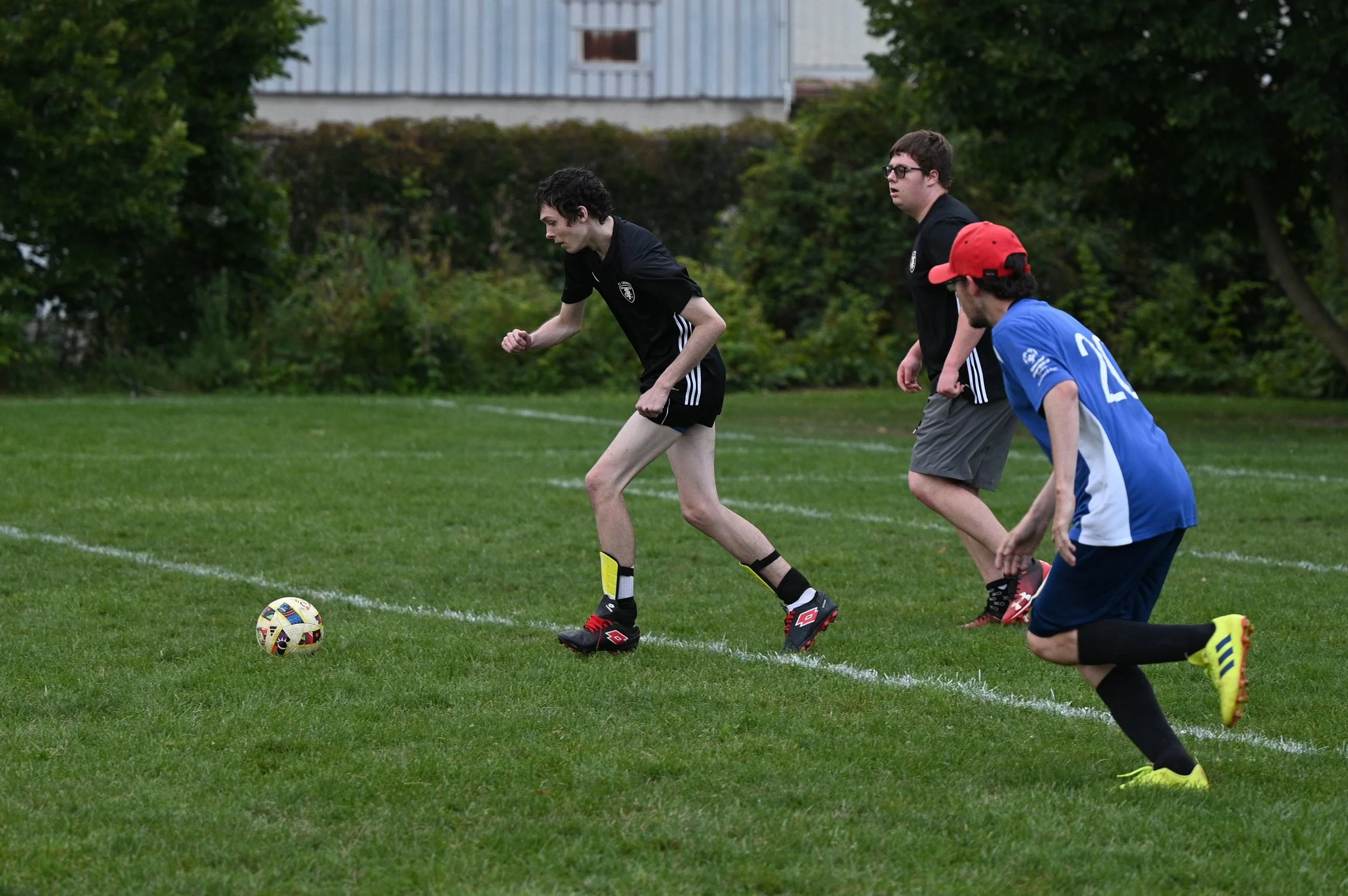 DSC_2462.jpg