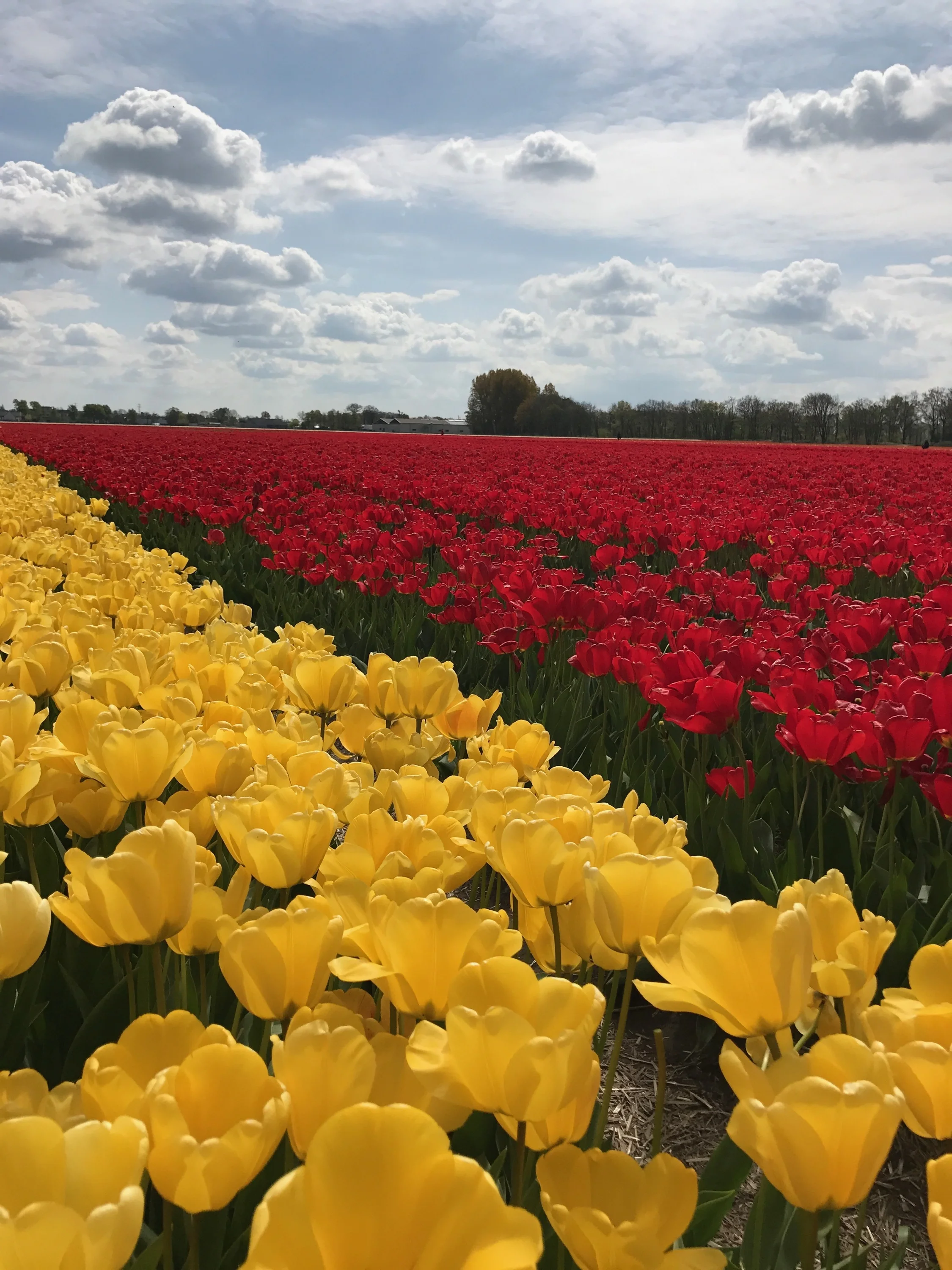 Meditation, Art and God Consciousness in Amsterdam Deposit