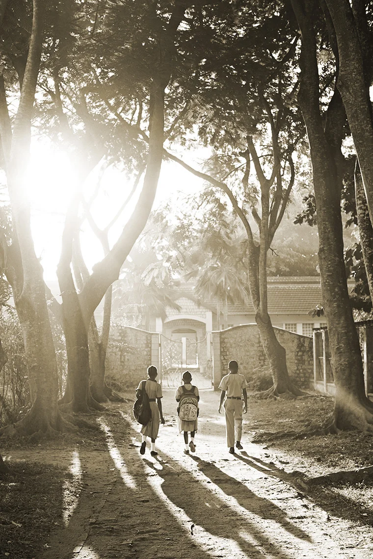 The Solution is Gender Equality