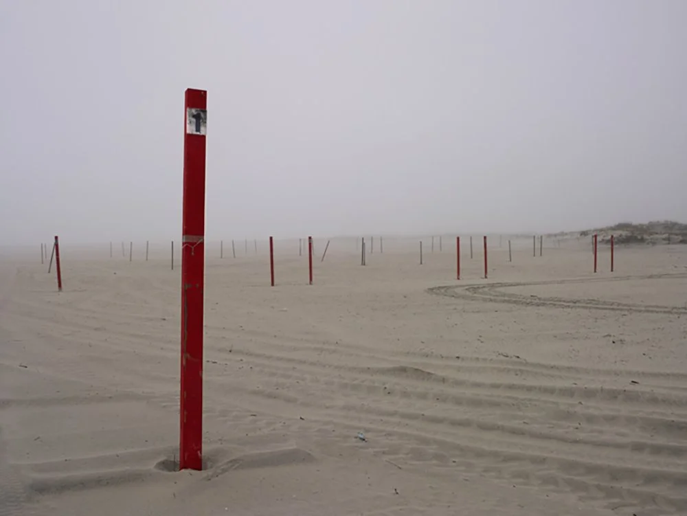 Red sticks.jpg