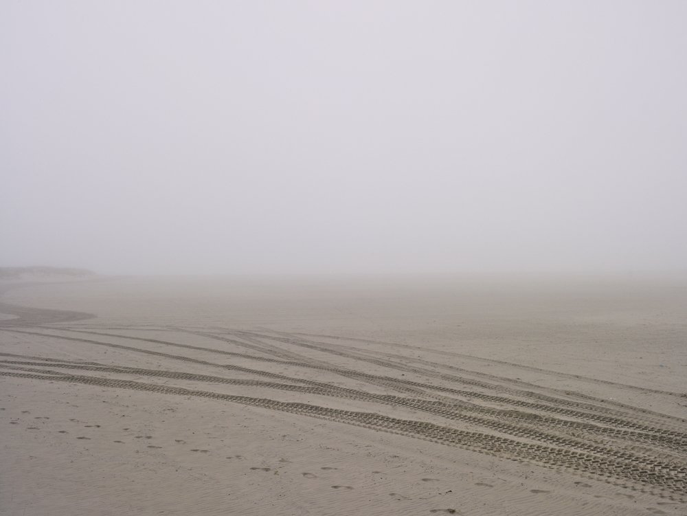 Tire tracks.jpg