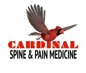 Cardinal spine