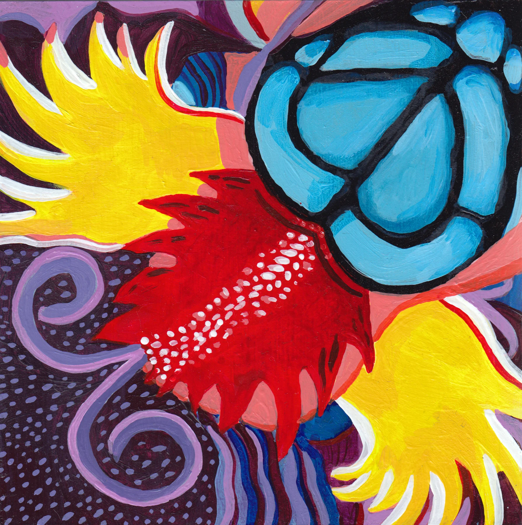Bird of Paradise