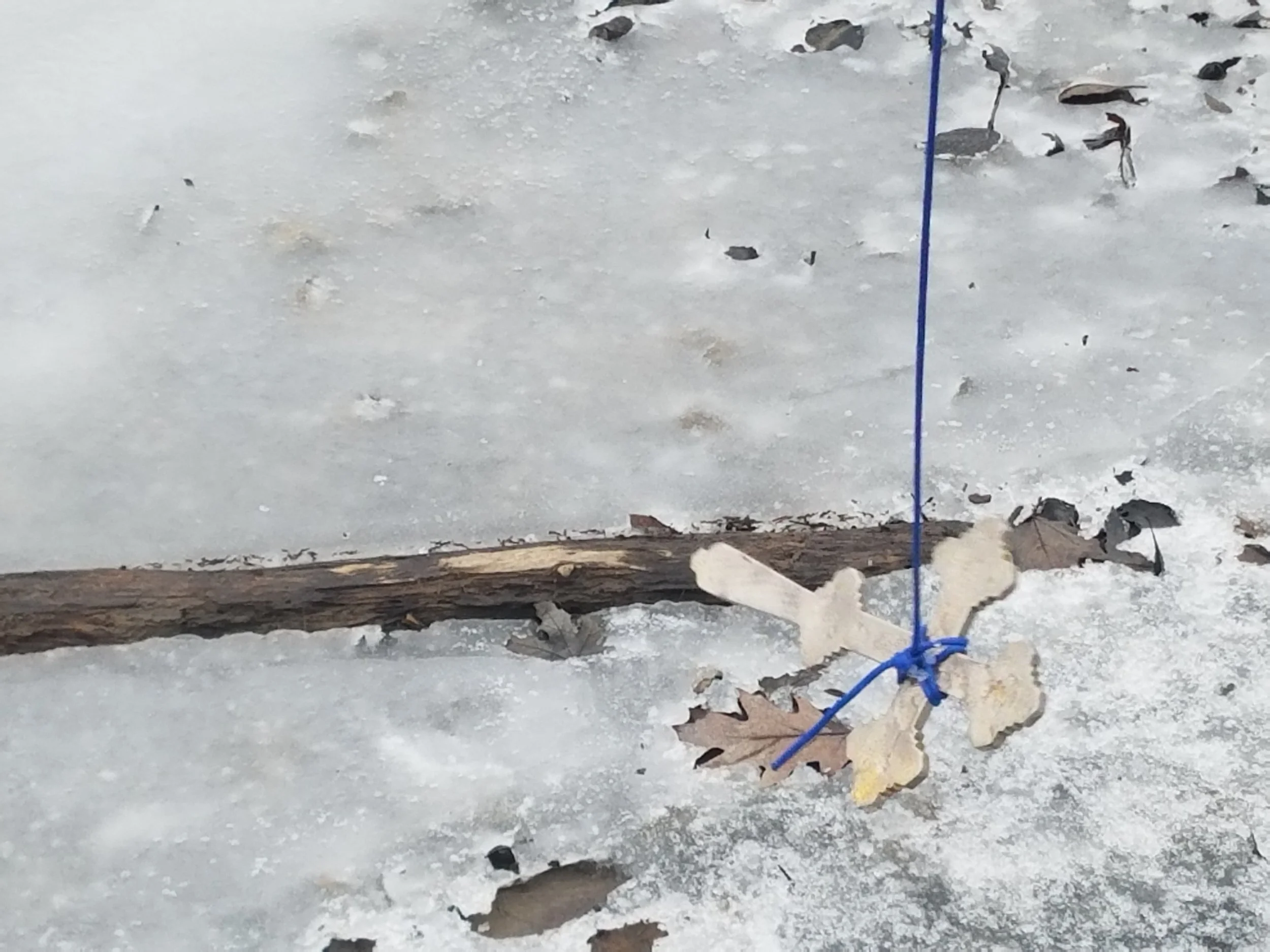 20180121_140940.jpg