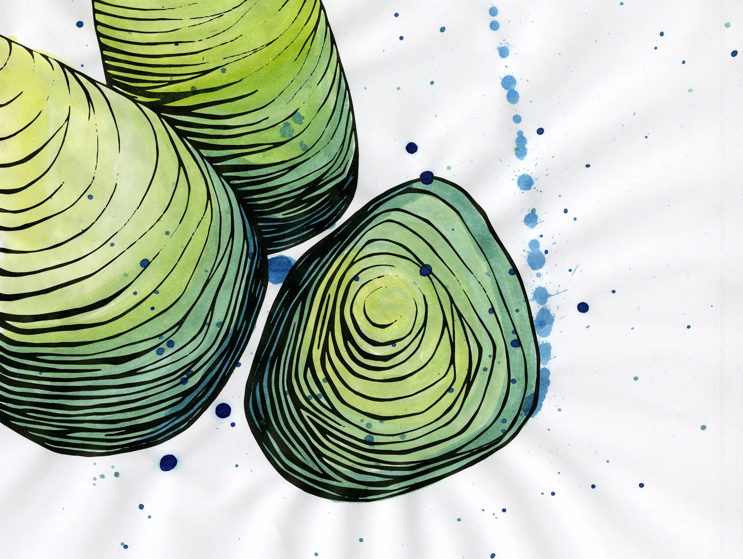 Becca Portfolio 002.jpg