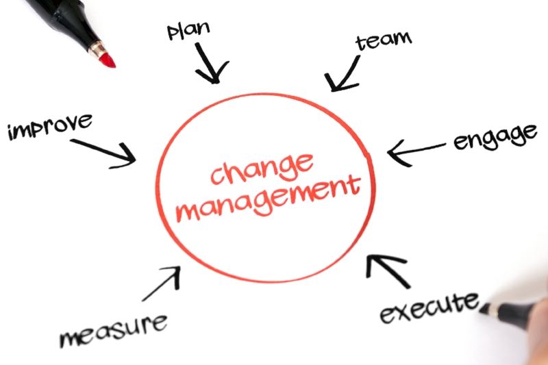 Measure, improve, plan, team, engage and execute all leading to change management