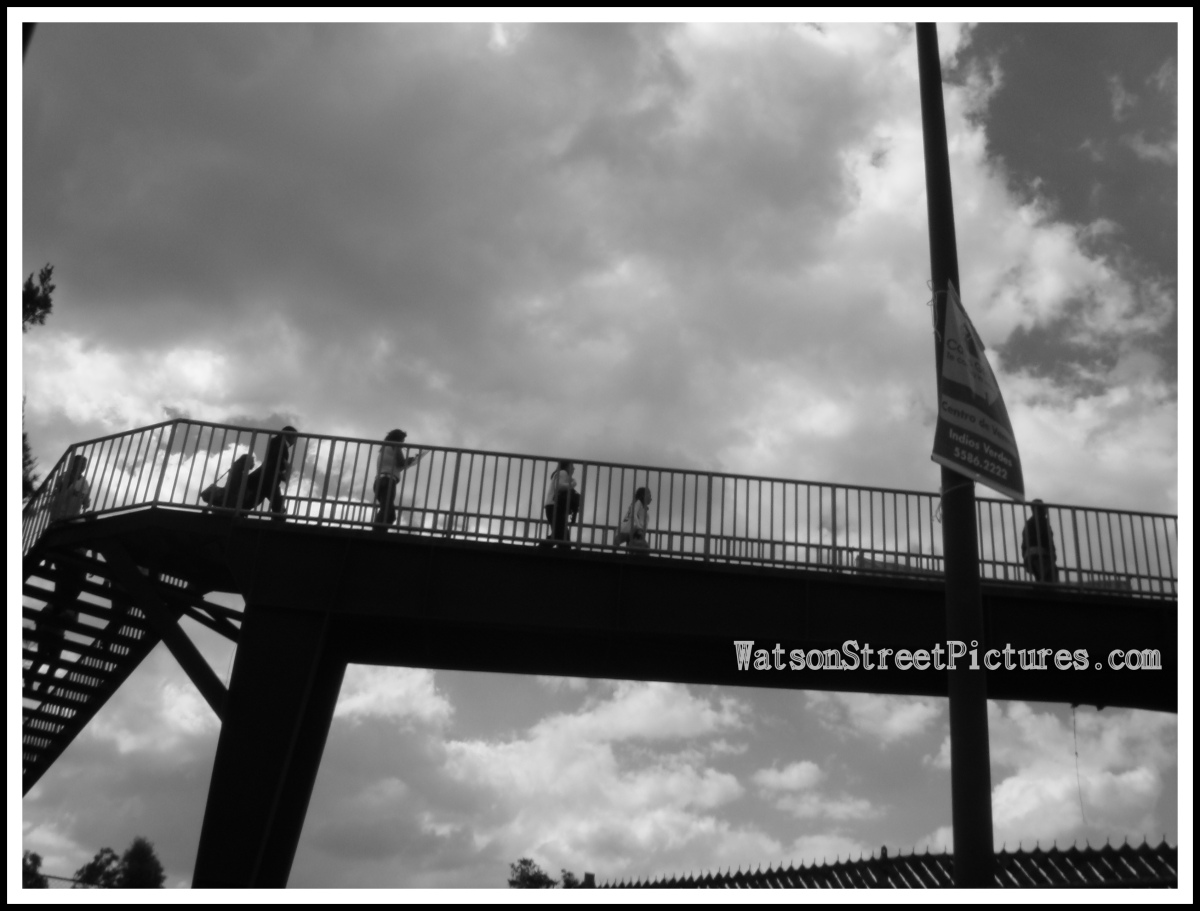 walkway.jpg