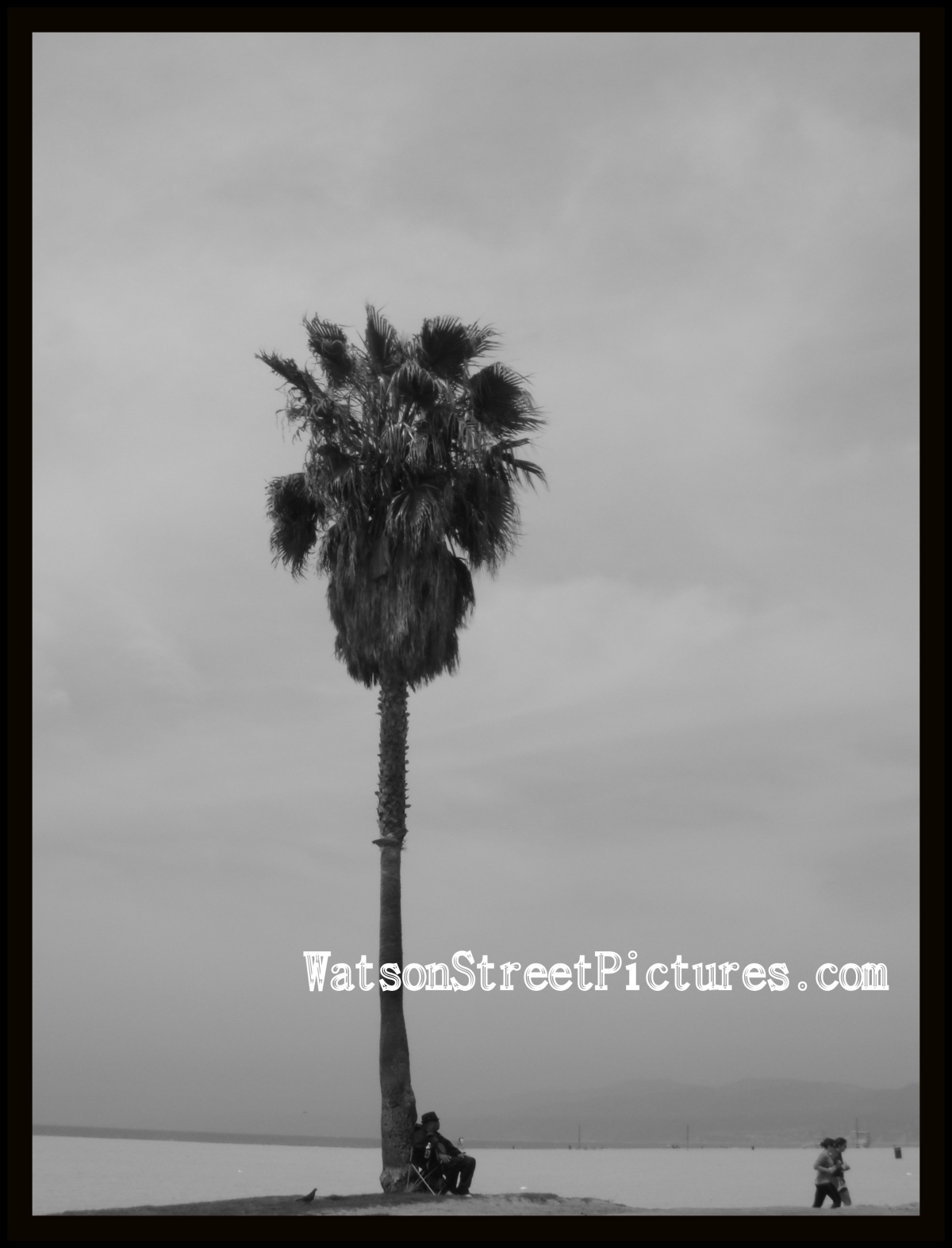 Venice Beach