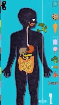 Tinybop and The Human Body