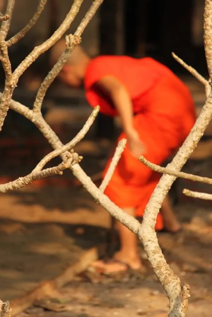 Monk 2.jpg
