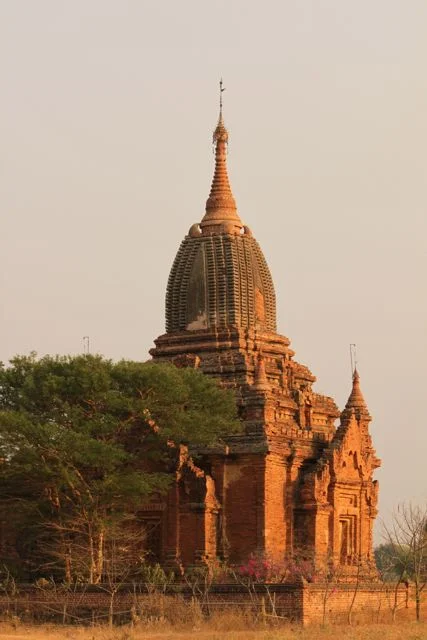 Temple.jpg
