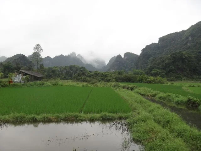 Catba scenery.jpg