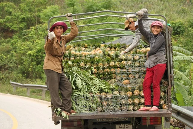 Pineapple people.jpg