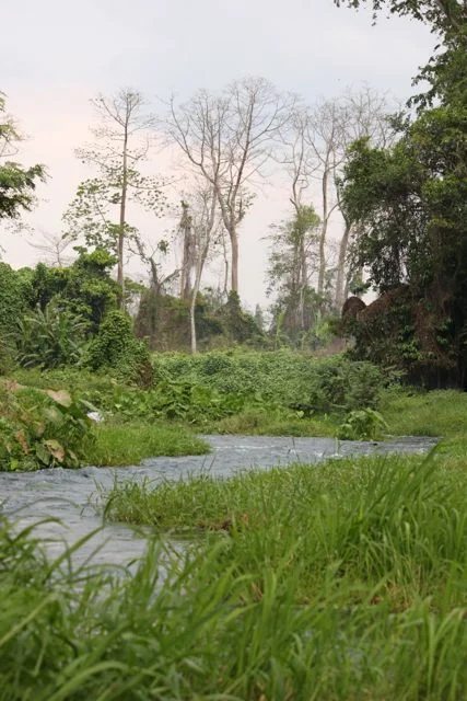 Waterfall 1.jpg