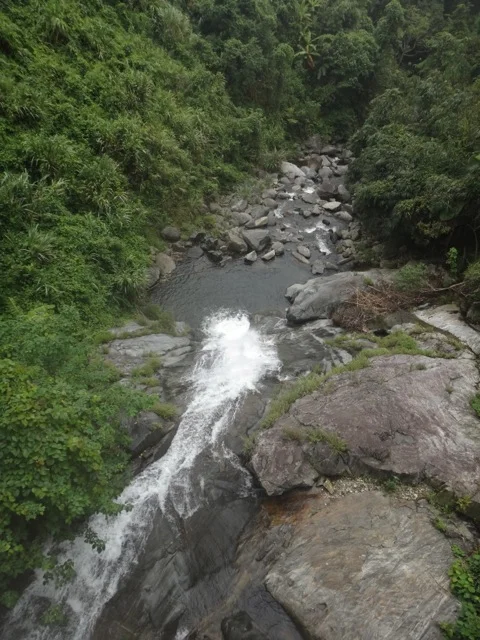 Natural beauty - in abundance and often where you least expect it.