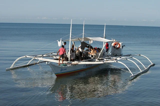 Whale sharking boat