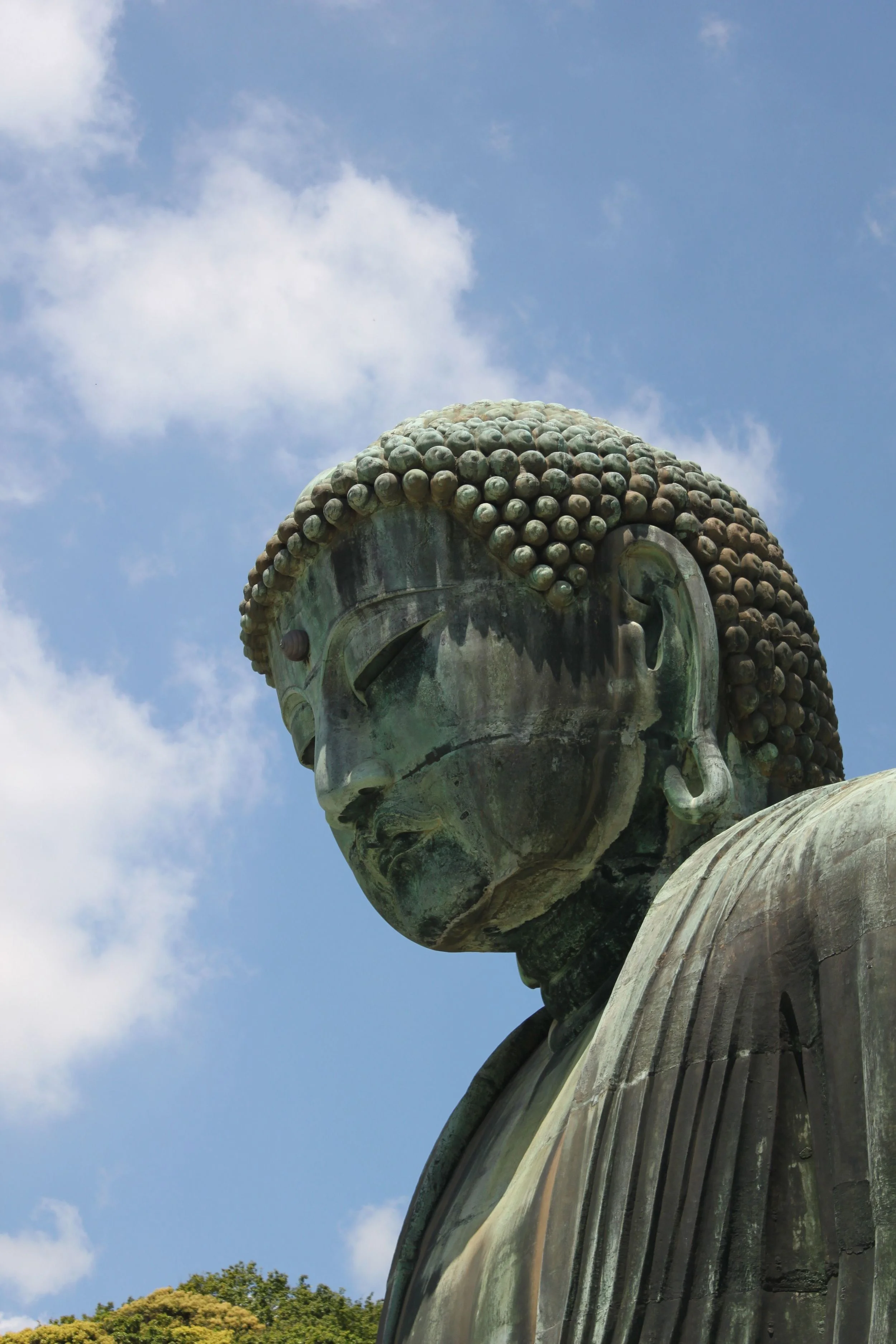 Daibutsu head.jpg