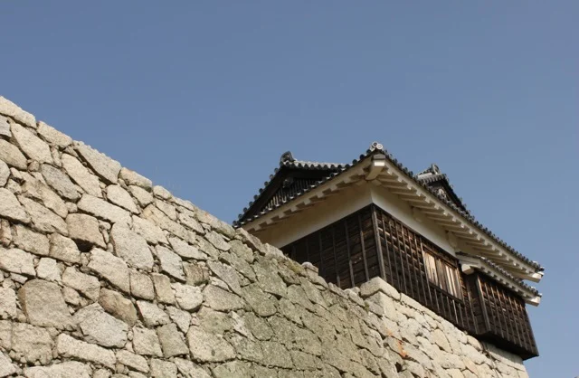 Matsuyama castle.jpg