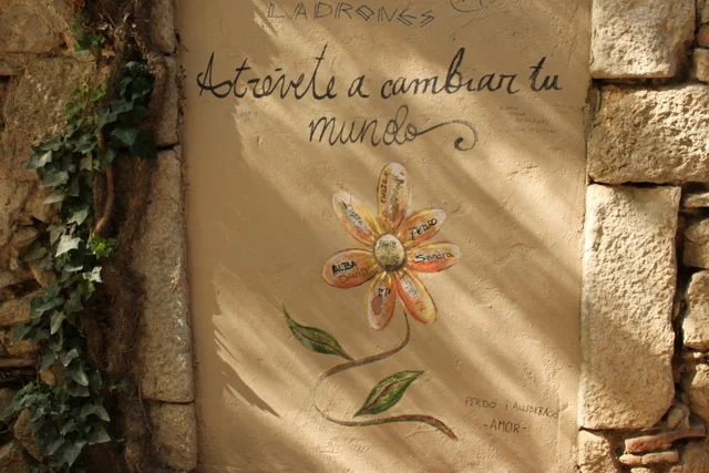 Flower.jpg