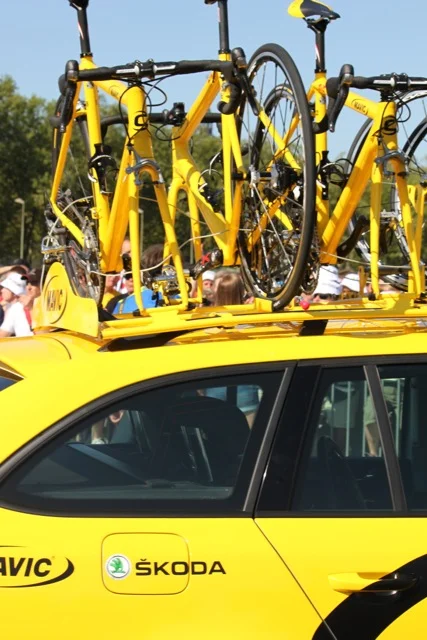 Yellow 1.jpg