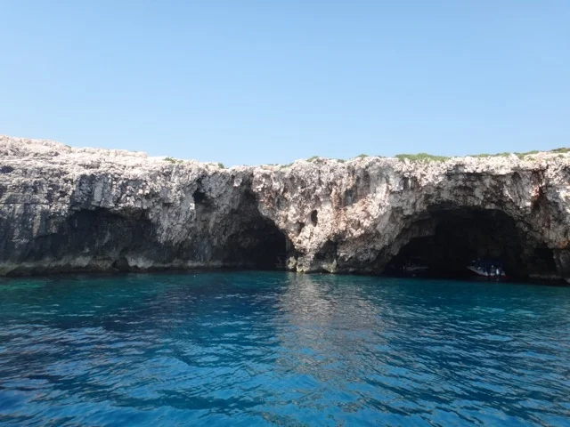 Green Caves 3.jpg